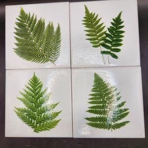 Hand-crafted Decoupage Fern Coasters Set of 4